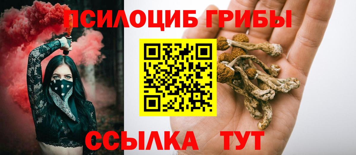 Галлюциногенные грибы прущие грибы  Псилоцибиновые грибы Psilocybe  Вход с VPN  сколько стоит  Лениногорск 